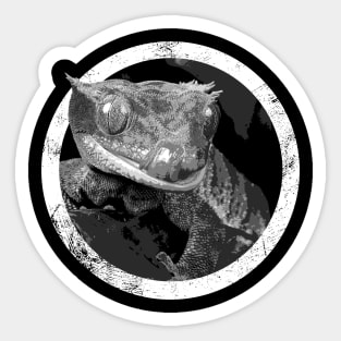 Distressed Pet Crested Gecko Icon Sticker